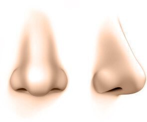 nose infographic