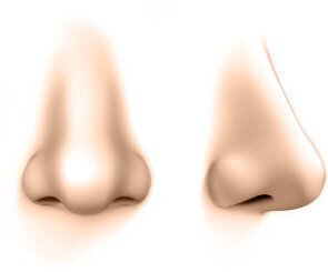 noses