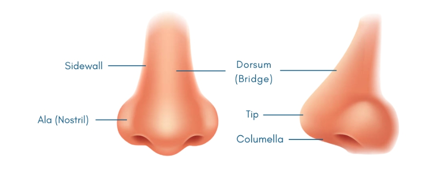 rhinoplasty in austin texas at Westlake Plastic Surgery
